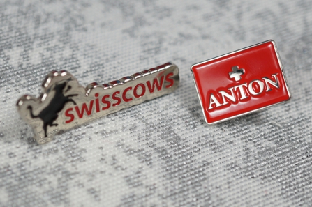 Pins für die Schweiz Pins für die Schweiz